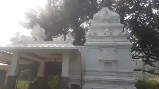 Arulmigu Pattalamman Temple, Pennaswaramatam - 635112 அருள்மிகு பட்டாளம்மன் திருக்கோயில், பெண்ணேஸ்வரமடம் - 635112, Krishnagiri - Ancient Temple Architecture and History Image 4