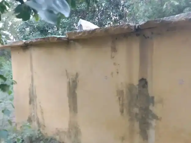 Arulmigu Pattalamman Temple, Polupalli - 635115 அருள்மிகு பட்டாளம்மன் திருக்கோயில், Polupalli - 635115, Krishnagiri - Ancient Temple Architecture and History Image 3