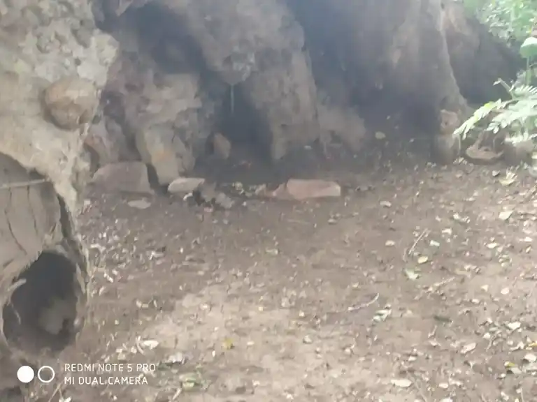 Arulmigu Pattalamman Temple, Pommiyampatty - 636305