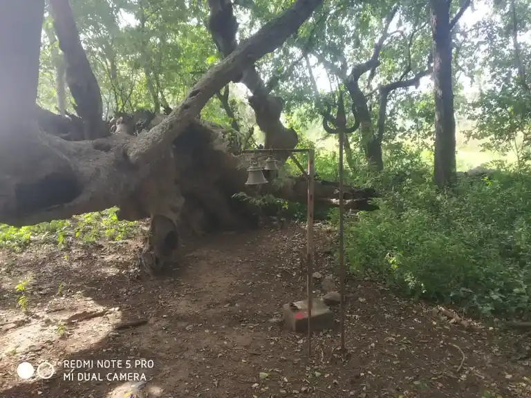 Arulmigu Pattalamman Temple, Pommiyampatty - 636305 அருள்மிகு பிடாரியம்மன் திருக்கோயில், Pommiyampatty - 636305, Salem - Ancient Temple Architecture and History Image 7