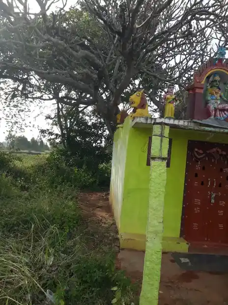 Arulmigu Pattalamman Temple, Poonpalli, Bithereddi - 635113 அருள்மிகு பட்டாளம்மன் திருக்கோயில், Poonpalli, Bithereddi - 635113, Krishnagiri - Ancient Temple Architecture and History Image 2