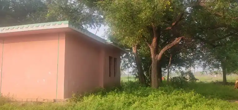 Arulmigu Pattalamman Temple, Puliampatti - 635202 Temple