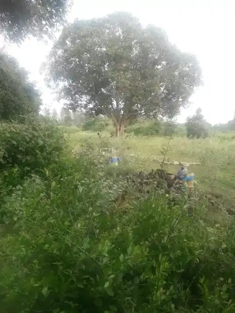 Arulmigu Pattalamman Temple, Rajakkapatti - 625503 பட்டாளம்மன் திருக்கோயில், Rajakkapatti, Rajakkapatti - 625503, Madurai - Ancient Temple Architecture and History Image 5