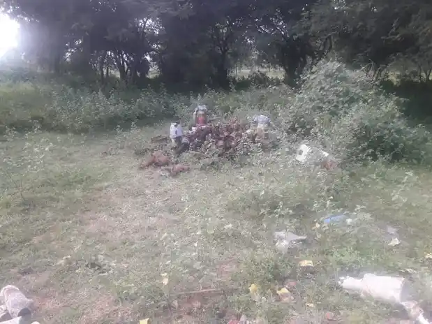 Arulmigu Pattalamman Temple, Rajakkapatti - 625503 பட்டாளம்மன் திருக்கோயில், Rajakkapatti, Rajakkapatti - 625503, Madurai - Ancient Temple Architecture and History Image 7