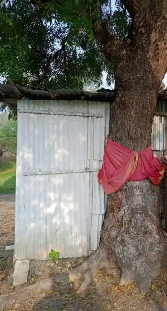 Arulmigu Pattalamman Temple, Rudiriampalayam, Allapalayam - 641653