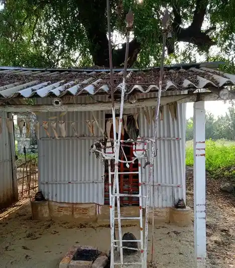 Arulmigu Pattalamman Temple, Rudiriampalayam, Allapalayam - 641653 அருள்மிகு பட்டாளம்மன் திருக்கோயில், Rudiriampalayam, Allapalayam - 641653, Coimbatore - Ancient Temple Architecture and History Image 2