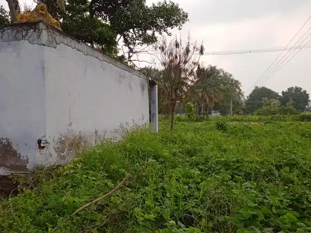 Arulmigu Pattalamman Temple, Talanatham - 635302 அருள்மிகு பட்டாளம்மன் திருக்கோயில், Talanatham - 635302, Dharmapuri - Ancient Temple Architecture and History Image 2