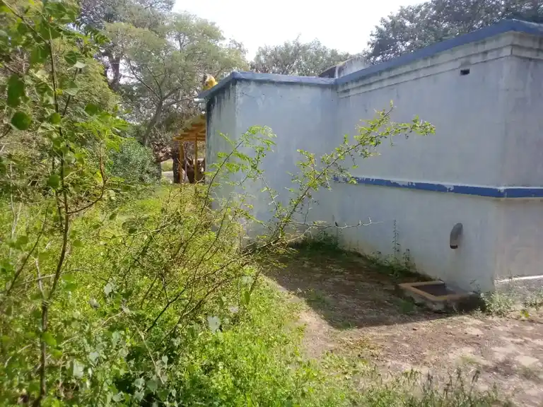 Arulmigu Pattalamman Temple, Varattnapalli - 635120 அருள்மிகு பட்டாளம்மன் திருக்கோயில், வரட்டனப்பள்ளி - 635120, Krishnagiri - Ancient Temple Architecture and History Image 3