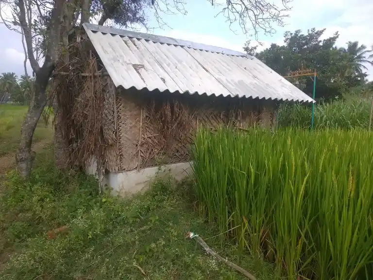 Arulmigu Pattalamman Temple, Vellalappatti - 635202