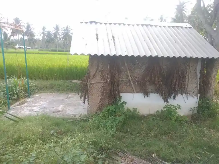 Arulmigu Pattalamman Temple, Vellalappatti - 635202 அருள்மிகு பட்டாளம்மன் திருக்கோயில், Vellalappatti - 635202, Dharmapuri - Ancient Temple Architecture and History Image 2