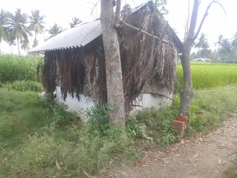Arulmigu Pattalamman Temple, Vellalappatti - 635202 அருள்மிகு பட்டாளம்மன் திருக்கோயில், Vellalappatti - 635202, Dharmapuri - Ancient Temple Architecture and History Image 4