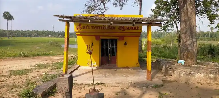 Arulmigu Pattalammn Temple, Jinkilkatirampatti - 635206 அருள்மிகு பட்டாளம்மன் திருக்கோயில், Jinkilkatirampatti - 635206, Krishnagiri - Ancient Temple Architecture and History Image 3