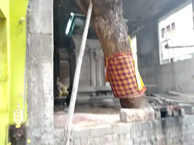 Arulmigu Pattamarathu Mariyamman Temple, Varaganeri, Thiruchirappalli - 620002 அருள்மிகு பட்டமரத்து மாரியம்மன் திருக்கோயில், Varaganeri, Thiruchirappalli - 620002, Thiruchirappalli - Ancient Temple Architecture and History Image 3