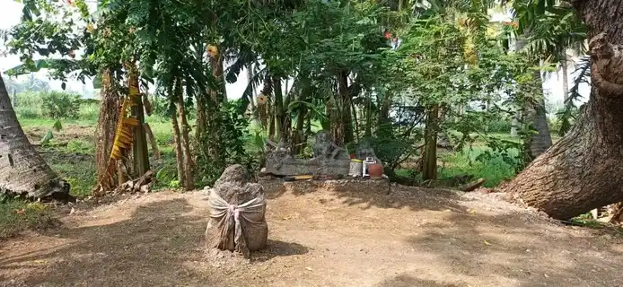 Arulmigu Pattamudaiyar Sastha Temple, Melapavoor - 627806 அருள்மிகு பட்டமுடையார் சாஸ்தா திருக்கோயில், Melapavoor - 627806, Tenkasi - Ancient Temple Architecture and History Image 2