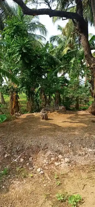 Arulmigu Pattamudaiyar Sastha Temple, Melapavoor - 627806 அருள்மிகு பட்டமுடையார் சாஸ்தா திருக்கோயில், Melapavoor - 627806, Tenkasi - Ancient Temple Architecture and History Image 3