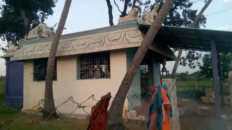 Arulmigu Pattathalachiyamman Temple, Allur - 620101 அருள்மிகு பட்டத்தளச்சியம்மன் திருக்கோயில், Allur - 620101, Thiruchirappalli - Ancient Temple Architecture and History Image 2