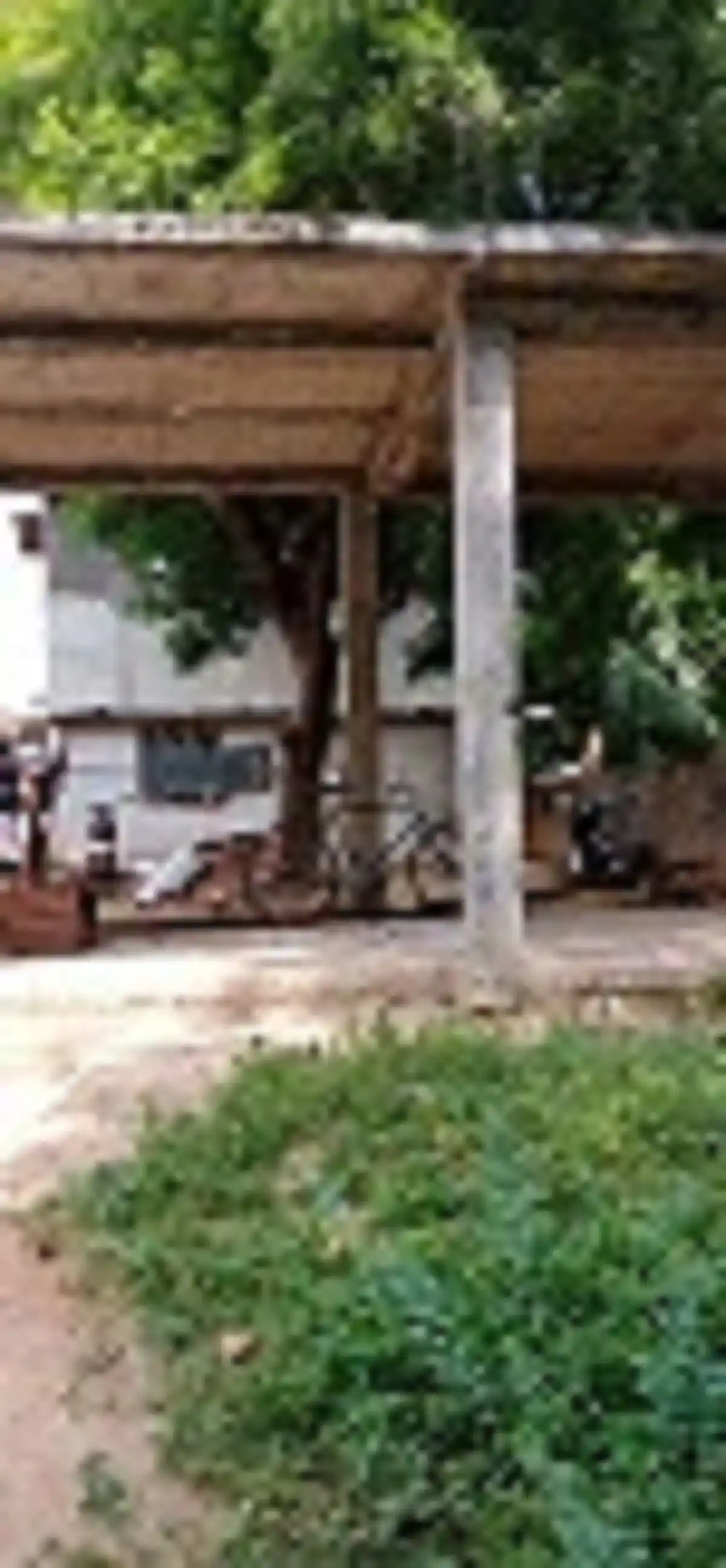 Arulmigu Pattathalachiyamman Temple, Kovathakudi - 621711 அருள்மிகு பட்டத்தளச்சியம்மன் திருக்கோயில், Kovathakudi - 621711, Thiruchirappalli - Ancient Temple Architecture and History Image 4