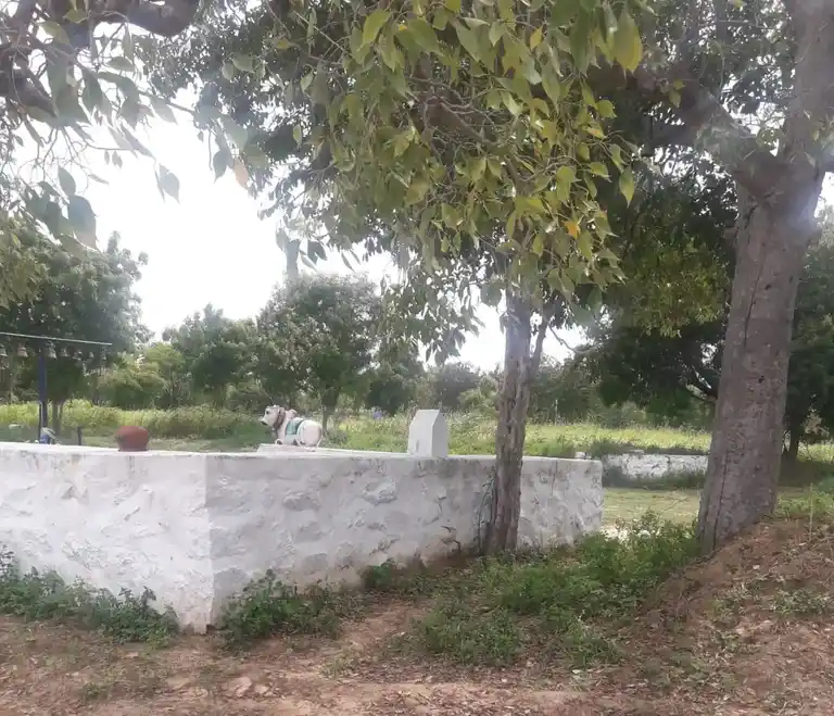 Arulmigu Pattathalachiyamman Temple, Vengai Mandalam - 621006 Arulmigu Pattathalachiyamman Temple, Vengai Mandalam, Vengai Mandalam - 621006, Thiruchirappalli - Ancient Temple Architecture and History Image 2