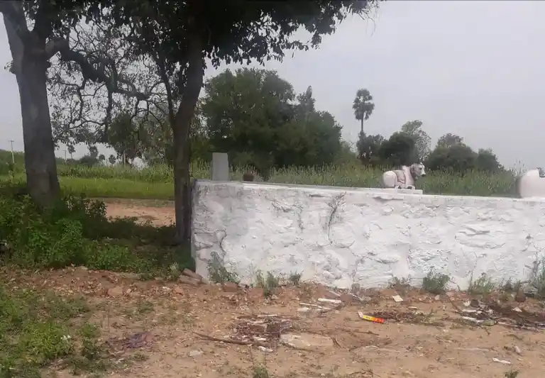 Arulmigu Pattathalachiyamman Temple, Vengai Mandalam - 621006 Arulmigu Pattathalachiyamman Temple, Vengai Mandalam, Vengai Mandalam - 621006, Thiruchirappalli - Ancient Temple Architecture and History Image 4