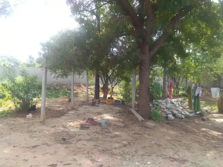 Arulmigu Pattatharasiamman Temple, Kachchippalli - 637102