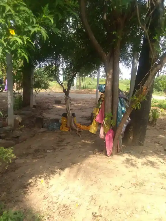 Arulmigu Pattatharasiamman Temple, Kachchippalli - 637102 அருள்மிகு பட்டத்தரசியம்மன் திருக்கோயில், Kachchippalli - 637102, Salem - Ancient Temple Architecture and History Image 4