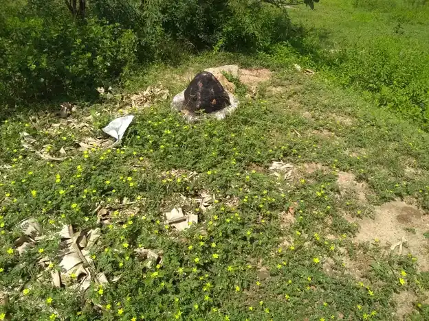 Arulmigu Pattatharasiamman Temple, Karadikal - 625706