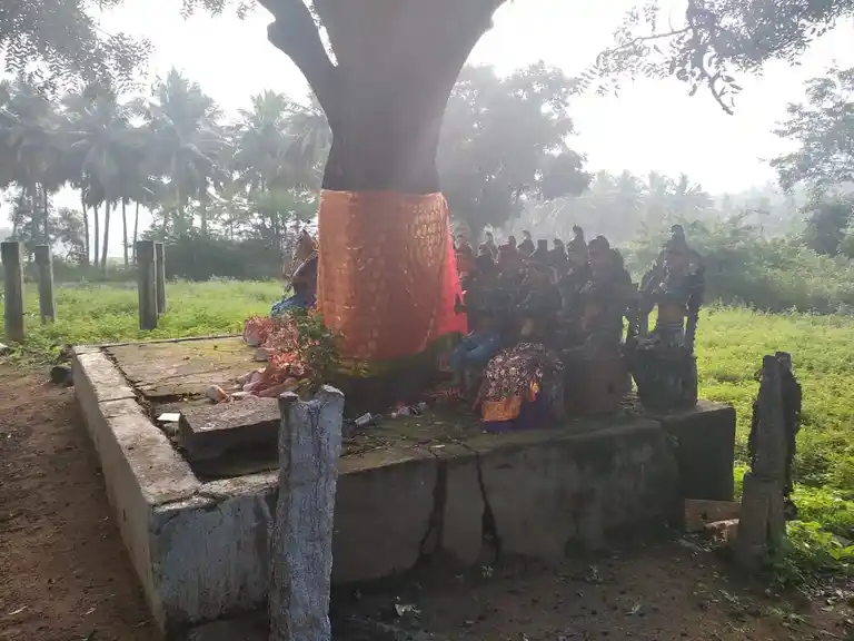 Arulmigu Pattatharasiyamman Temple, Pottapatti - 625103