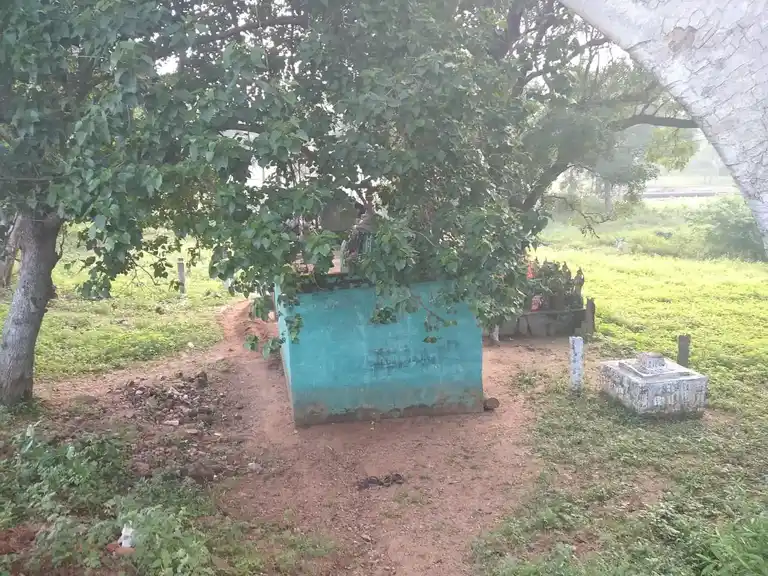 Arulmigu Pattatharasiyamman Temple, Pottapatti - 625103 அருள்மிகு பட்டத்தரசியம்மன் கோயில், Pottapatti - 625103, Madurai - Ancient Temple Architecture and History Image 7