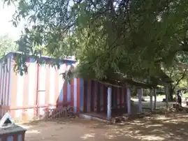 Arulmigu Pattatharasiyamman Temple, Srivilliputhur - 626125 அருள்மிகு பட்டத்தரசியம்மன் திருக்கோயில், திருவில்லிபுத்துர் - 626125, Virudhunagar - Ancient Temple Architecture and History Image 5