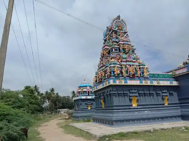 Arulmigu Pattaththarasi Amman Temple, Ammanpettai - 613205 அருள்மிகு பட்டதரசியம்மன் திருக்கோயில், Ammanpettai - 613205, Thanjavur - Ancient Temple Architecture and History Image 2