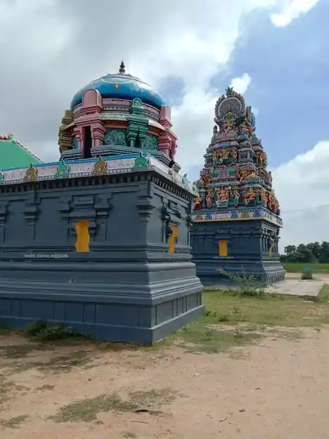 Arulmigu Pattaththarasi Amman Temple, Ammanpettai - 613205 அருள்மிகு பட்டதரசியம்மன் திருக்கோயில், Ammanpettai - 613205, Thanjavur - Ancient Temple Architecture and History Image 5