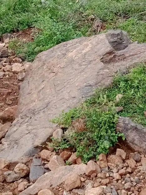 Arulmigu Pattathu Kannimaar Temple, Kombaipatty - 624202 அருள்மிகு பட்டத்து கன்னிமார் திருக்கோயில், Kombaipatty - 624202, Dindigul - Ancient Temple Architecture and History Image 4