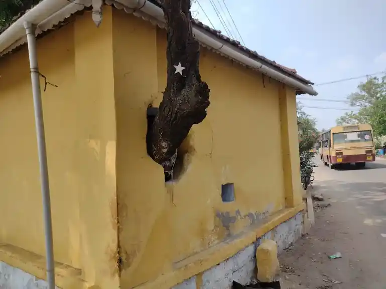 Arulmigu Pattathuarasiamman Temple, Rangasamuthuram - 642005 அருள்மிகு பட்டத்தரசியம்மன் திருக்கோயில், ரெங்கசமுத்துரம் - 642005, Coimbatore - Ancient Temple Architecture and History Image 6