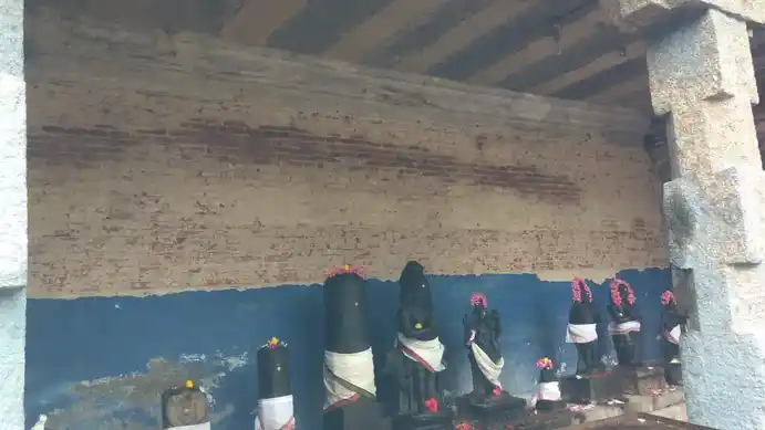 Arulmigu Paulvanna Nadhasamy Temple, Thirukazhipalai - 608002 அருள்மிகு பால்வண்ணநாதசுவாமி திருக்கோயில், சிவபுரி, திருக்கழிப்பாலை - 608002, Cuddalore - Ancient Temple Architecture and History Image 8