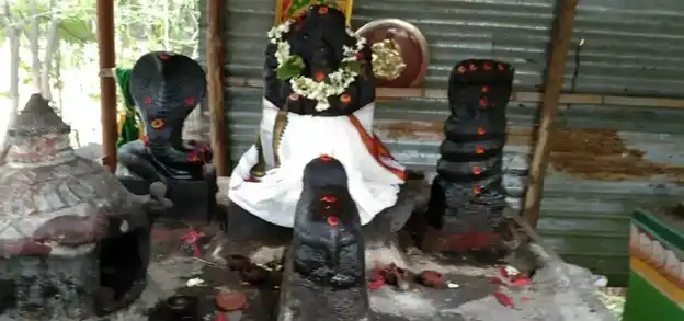 Arulmigu Pavalakodi Amman Temple, Iyampulli - 624610 அருள்மிகு பவளக்கொடியம்மன் கோயில், Iyampulli - 624610, Dindigul - Ancient Temple Architecture and History Image 3