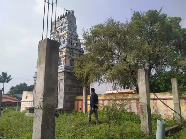 Arulmigu Pazhamalai Nathar Temple, Namankunam - 621716 Arulmigu Pazhamalai Nathar Temple, Namankunam - 621716, Ariyalur - Ancient Temple Architecture and History Image 4