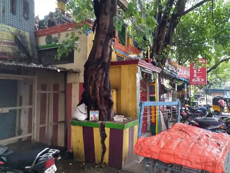 Arulmigu Pazhani Andavar Temple, Mintstreet, Chennai - 600079 அருள்மிகு ஸ்ரீ பழனி ஆண்டவர் திருக்கோயில், மின்ட் தெரு, சென்னை - 600079, Chennai - Ancient Temple Architecture and History Image 2