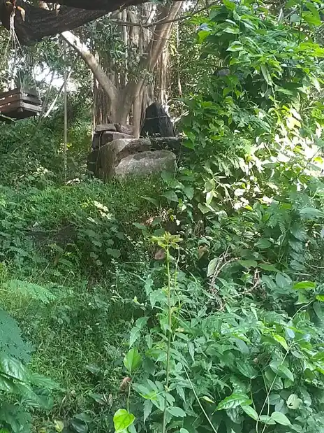 Arulmigu Pazhavoor Isakkiamman Temple, Pazhavoor, Boothapandi - 629852