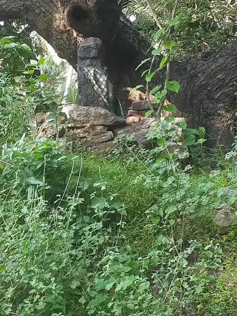 Arulmigu Pazhavoor Isakkiamman Temple, Pazhavoor, Boothapandi - 629852 அருள்மிகு பழவூர் இசக்கியம்மன் திருக்கோயில், Pazhavoor, Boothapandi - 629852, Kanyakumari - Ancient Temple Architecture and History Image 3