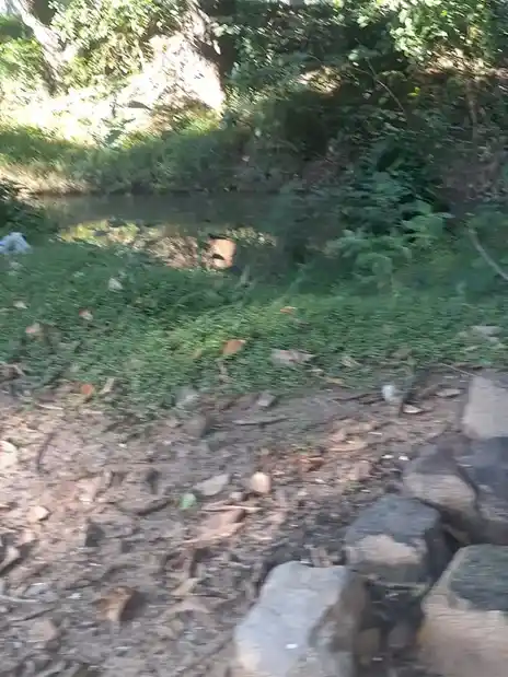 Arulmigu Pazhavoor Isakkiamman Temple, Pazhavoor, Boothapandi - 629852 அருள்மிகு பழவூர் இசக்கியம்மன் திருக்கோயில், Pazhavoor, Boothapandi - 629852, Kanyakumari - Ancient Temple Architecture and History Image 4