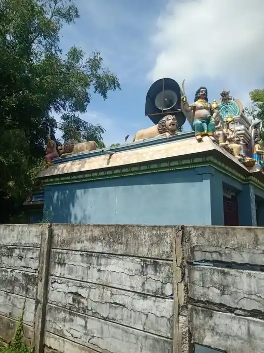 Arulmigu Pechiamman Temple, Thandeswaranallur - 608001 அருள்மிகு பேச்சியம்மன் திருக்கோயில், Thandeswaranallur - 608001, Cuddalore - Ancient Temple Architecture and History Image 7