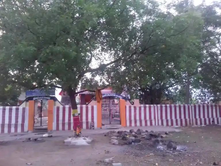 Arulmigu Pechiyudaiya Ayyanar Temple, Near Kanmai, Thayilpatti - 626128 அருள்மிகு பேச்சியுடைய அய்யனார் திருக்கோயில், கண்மாய் அருகில், தாயில்பட்டி - 626128, Virudhunagar - Ancient Temple Architecture and History Image 2