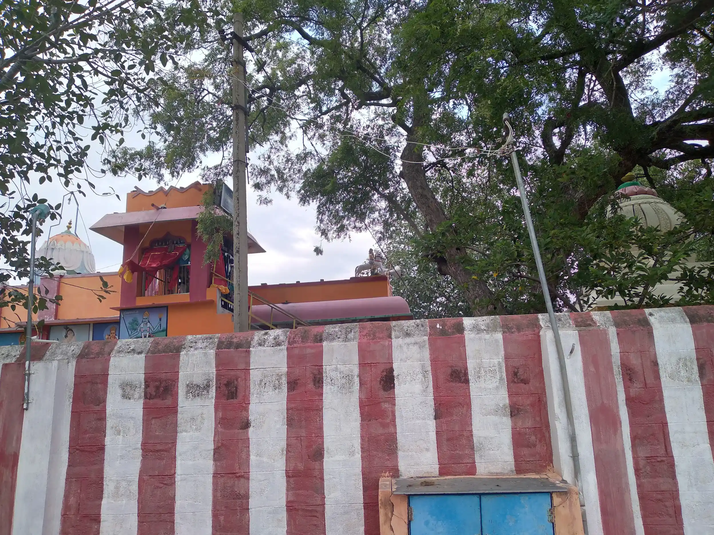 Arulmigu Pechiyudaiya Ayyanar Temple, Near Kanmai, Thayilpatti - 626128 அருள்மிகு பேச்சியுடைய அய்யனார் திருக்கோயில், கண்மாய் அருகில், தாயில்பட்டி - 626128, Virudhunagar - Ancient Temple Architecture and History Image 4