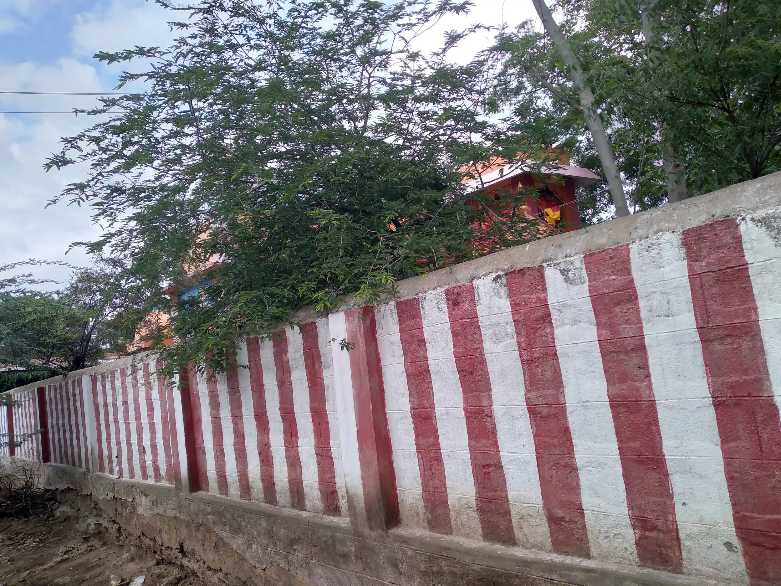 Arulmigu Pechiyudaiya Ayyanar Temple, Near Kanmai, Thayilpatti - 626128 அருள்மிகு பேச்சியுடைய அய்யனார் திருக்கோயில், கண்மாய் அருகில், தாயில்பட்டி - 626128, Virudhunagar - Ancient Temple Architecture and History Image 5