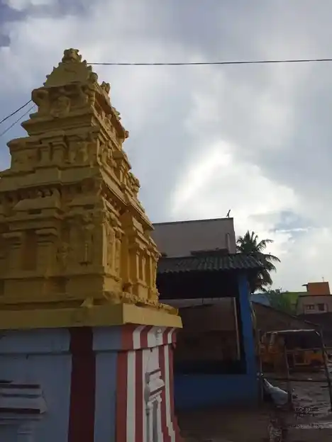 Arulmigu Pedari Seliamman Mahalakshmi Mariamman Temple, Madhavaram, Chennai - 600060 அருள்மிகு பிடாரி செல்லியம்மன், மகாலட்சுமி அம்மன், மாரியம்மன் திருக்கோயில், மாதவரம், சென்னை - 600060, Chennai - Ancient Temple Architecture and History Image 3