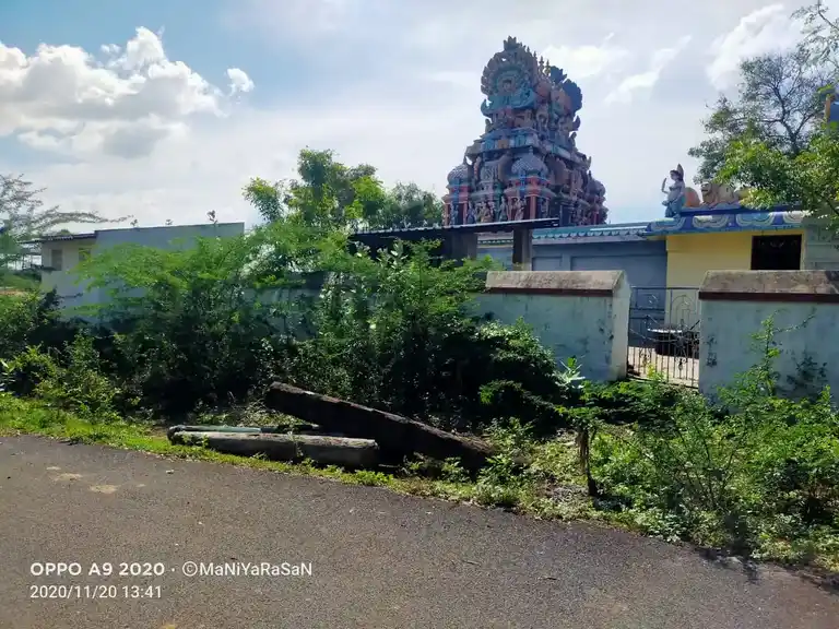 Arulmigu Pedari Sellandiyamman Temple, Thuvakkudi, Thiruverumbur - 620022 Temple