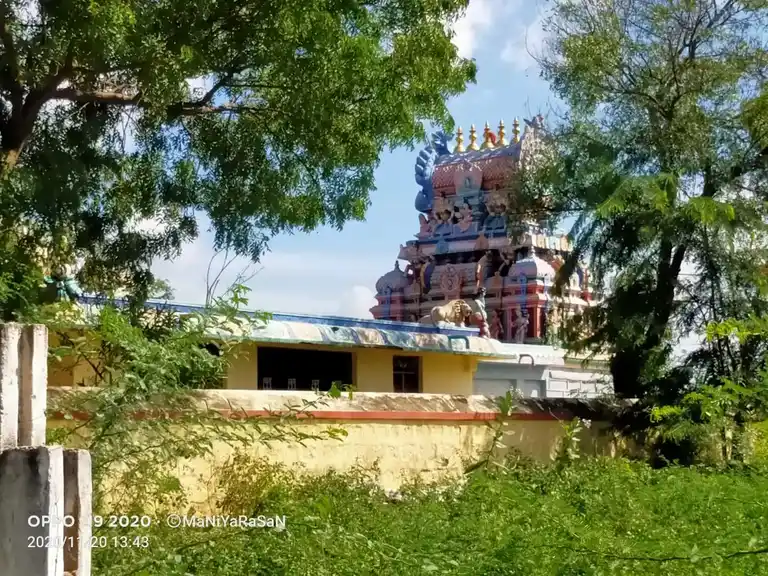 Arulmigu Pedari Sellandiyamman Temple, Thuvakkudi, Thiruverumbur - 620022 Arulmigu Pedari Sellandiyamman Temple, Thuvakkudi, Thiruverumbur - 620022, Thiruchirappalli - Ancient Temple Architecture and History Image 4
