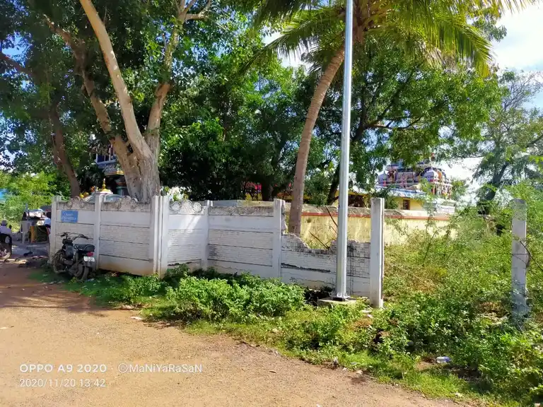 Arulmigu Pedari Sellandiyamman Temple, Thuvakkudi, Thiruverumbur - 620022 Arulmigu Pedari Sellandiyamman Temple, Thuvakkudi, Thiruverumbur - 620022, Thiruchirappalli - Ancient Temple Architecture and History Image 6
