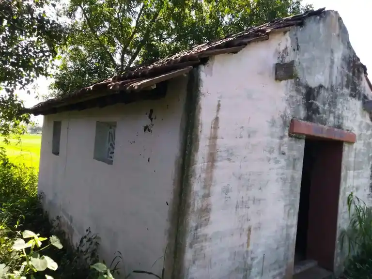 Arulmigu Pedariyaman Temple, Advangudi - 610104 அருள்மிகு பிடாரியம்மன் திருக்கோயில், Advangudi - 610104, Thiruvarur - Ancient Temple Architecture and History Image 2