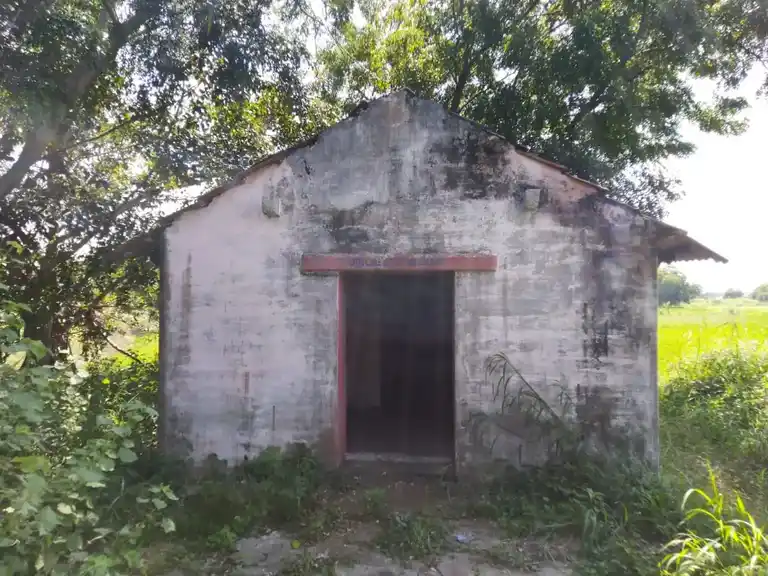 Arulmigu Pedariyaman Temple, Advangudi - 610104 அருள்மிகு பிடாரியம்மன் திருக்கோயில், Advangudi - 610104, Thiruvarur - Ancient Temple Architecture and History Image 3